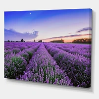 Designart - Sunrise & Dramatic Clouds Over Lavender Field II