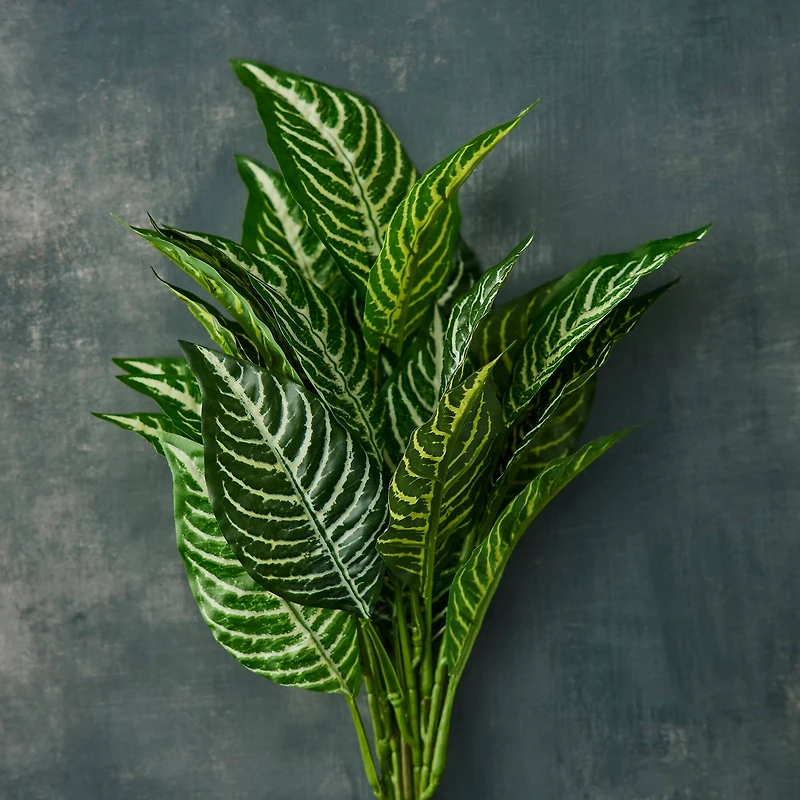 12 Pack: Green Zebra Bush by Ashland®