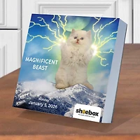 2026 Shoebox Daily Desktop Calendar