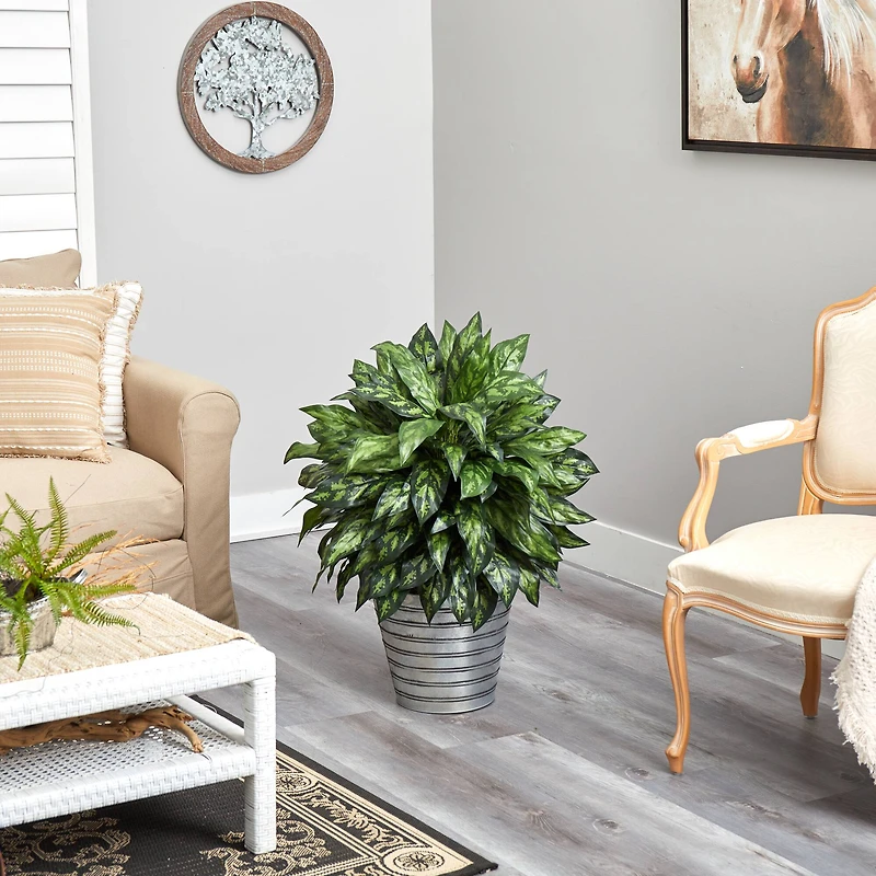 3ft. Silver King Plant in Decorative Tin Bucket