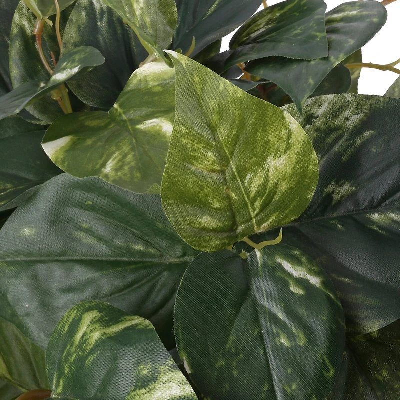 Hanging Pothos Bush by Ashland®