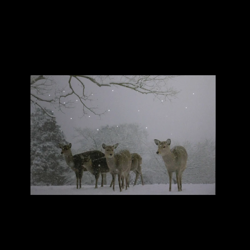 Winter Woods Deer Fiber Optic Lighted Canvas Wall Art