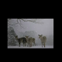 Winter Woods Deer Fiber Optic Lighted Canvas Wall Art