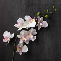 12 Pack: Cream & Pink Orchid Spray by Ashland®