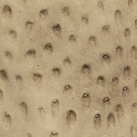 Hello Honey® 6" Matte Khaki Round Debossed Stoneware Planter