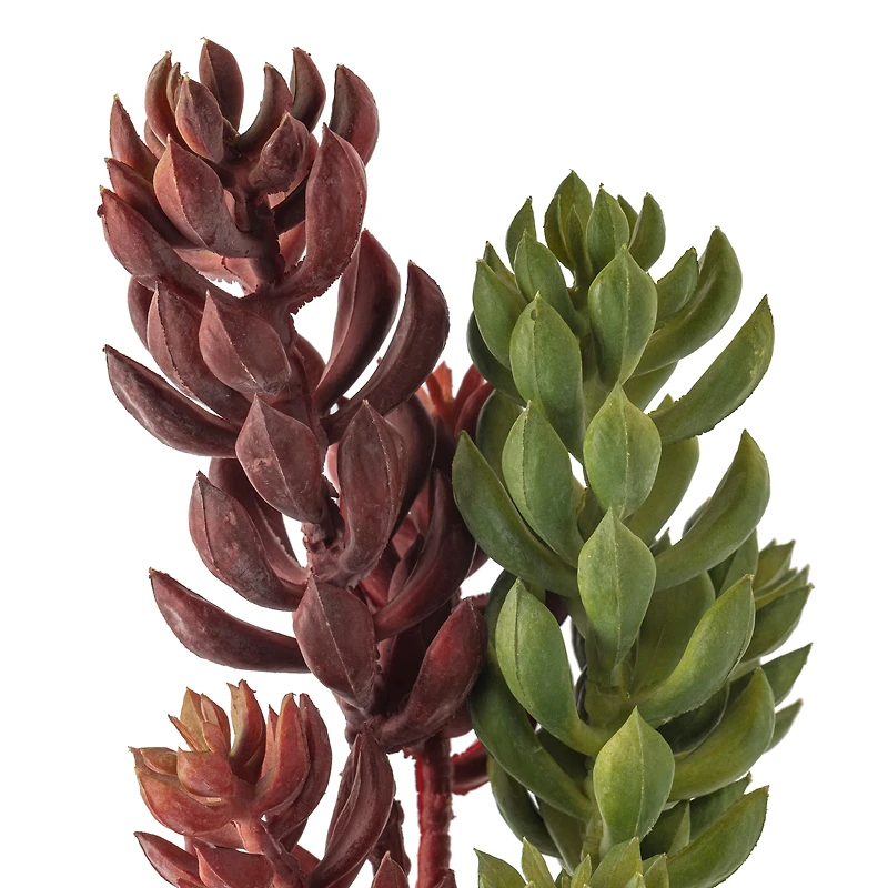 Assorted 11" 3 Head Succulent Pick by Ashland®, 1pc.