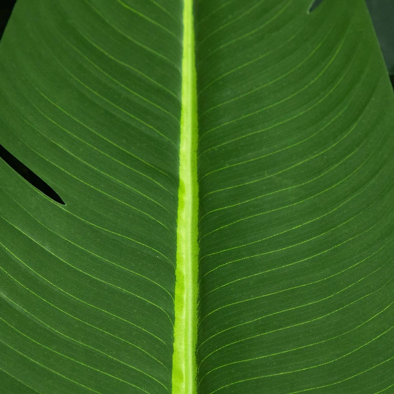 11ft. Artificial Travelers Palm Tree