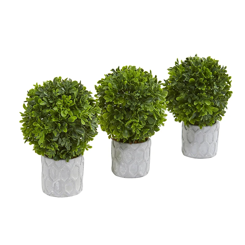 9" Potted Boxwood Mini Topiary, 3ct.