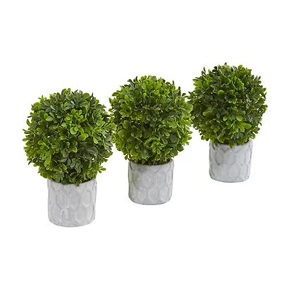 9" Potted Boxwood Mini Topiary, 3ct.