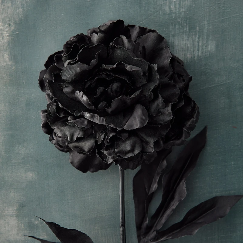 12 Pack: Black Peony Stem by Ashland®