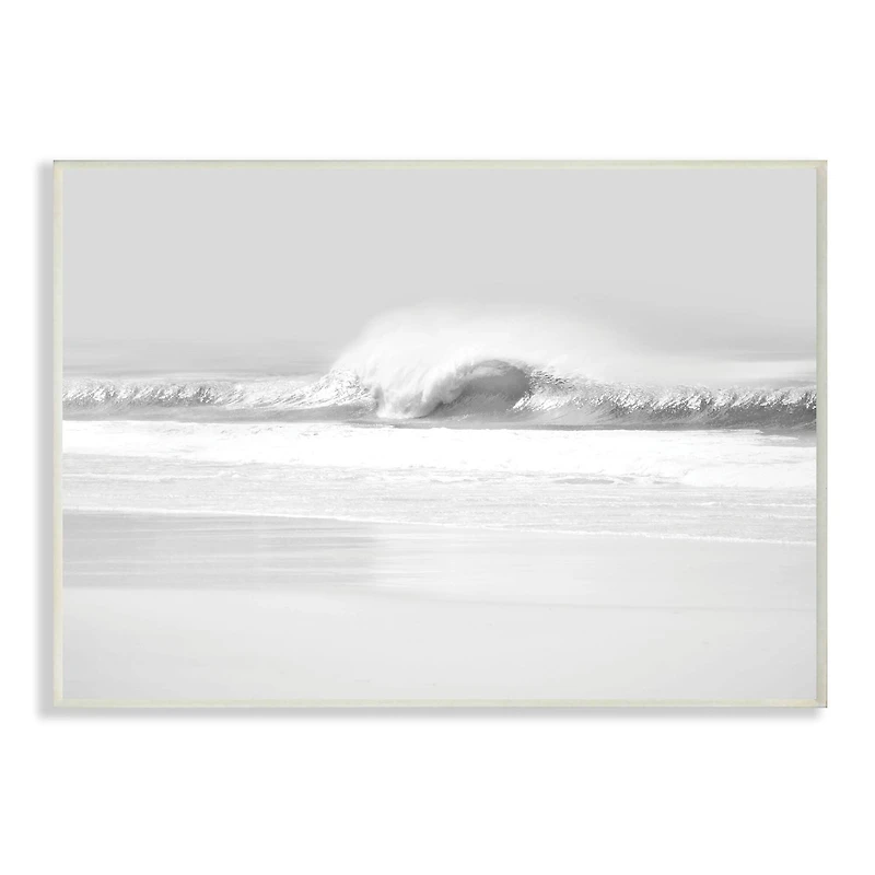 Stupell Industries Waves Crashing on Beach Black & White Wall Art