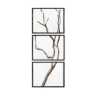 Hello Honey® Black Wood Framed Branch Artwork Set