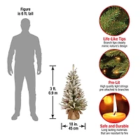 3ft. Pre-Lit Dunhill® Fir Artificial Christmas Tree, Warm White LED Lights