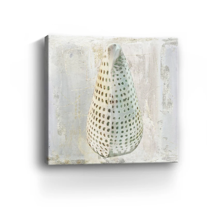 Shells II Canvas Giclee