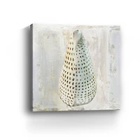 Shells II Canvas Giclee