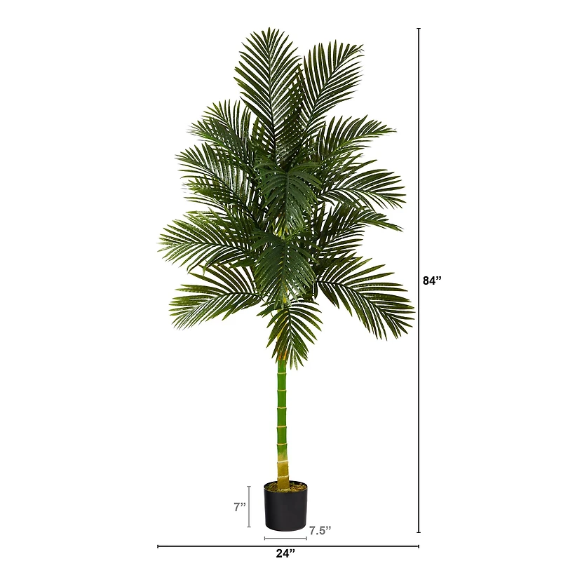 7ft. Potted Golden Cane Palm Tree