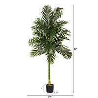 7ft. Potted Golden Cane Palm Tree