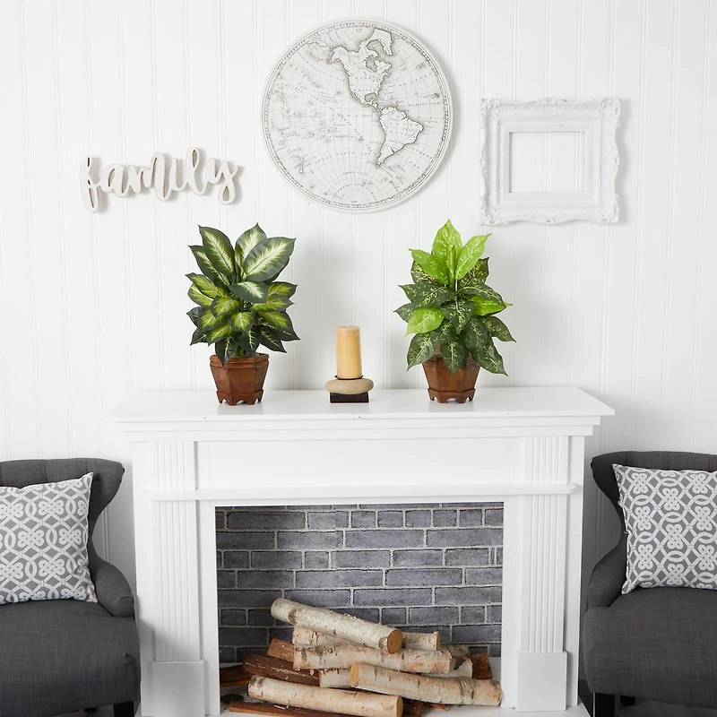 20.5" Assorted Dieffenbachia In Wood Vase, 2ct.