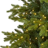 10ft. Pre-Lit Belgium Fir Artificial Christmas Tree, Clear LED Lights