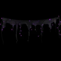 4ft. Pre-Lit Purple LED Halloween Black Gauze Drape Lights