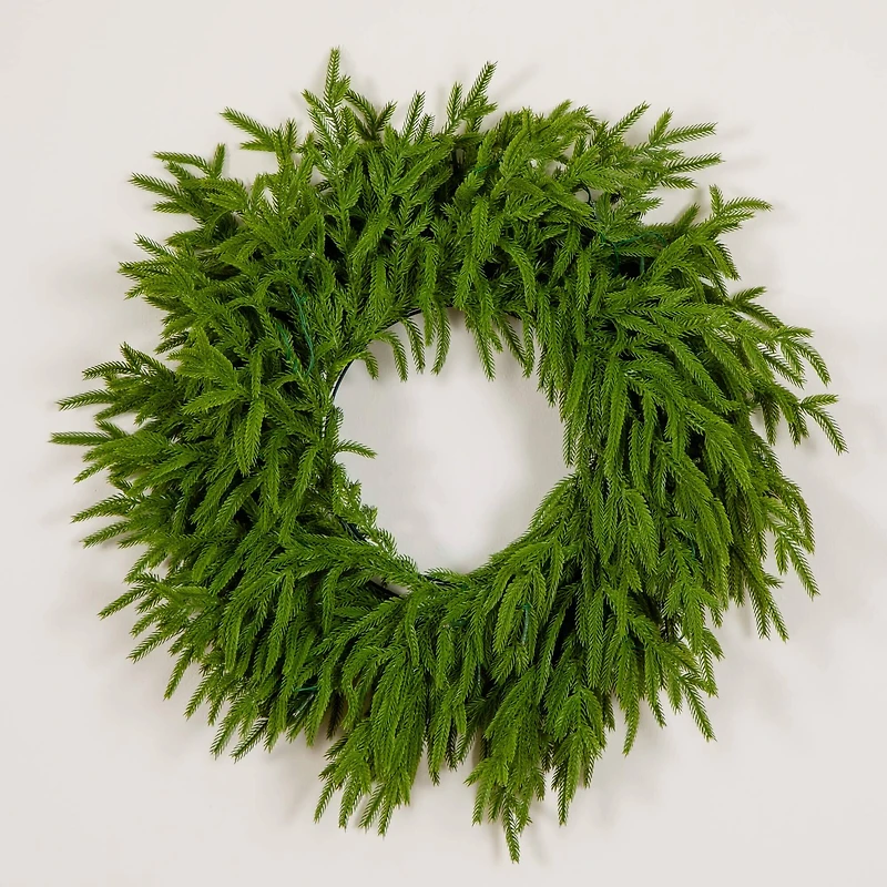 20in. Pre-Lit Artificial Real Touch Norfolk Island Pine Wreath with 35 Warm White LED Lights and Natural Look