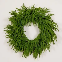 20in. Pre-Lit Artificial Real Touch Norfolk Island Pine Wreath with 35 Warm White LED Lights and Natural Look