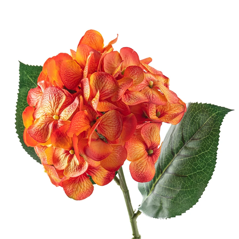 12 Pack: Orange Hydrangea Stem by Ashland®