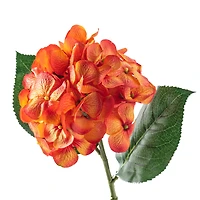 12 Pack: Orange Hydrangea Stem by Ashland®