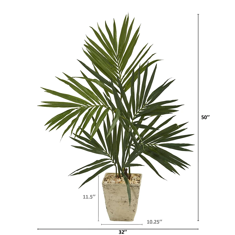 4ft. Kentia Palm Tree in Country White Planter