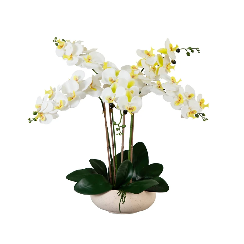 23" Orchid Arrangement in White Ceramic Planter