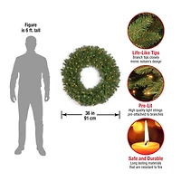 36" Norwood Fir Wreath with 100ct. Clear Lights