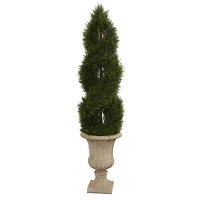 5ft. Double Pond Cypress Spiral Topiary Tree in Urn