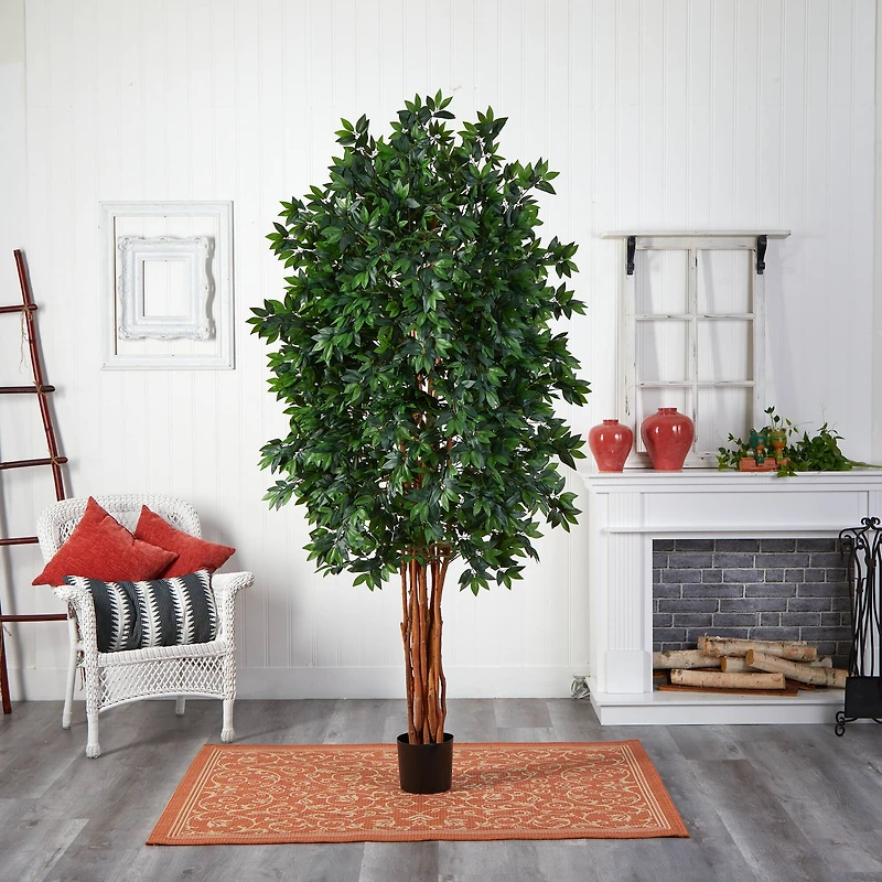 7.5ft. Potted Lychee Silk Tree