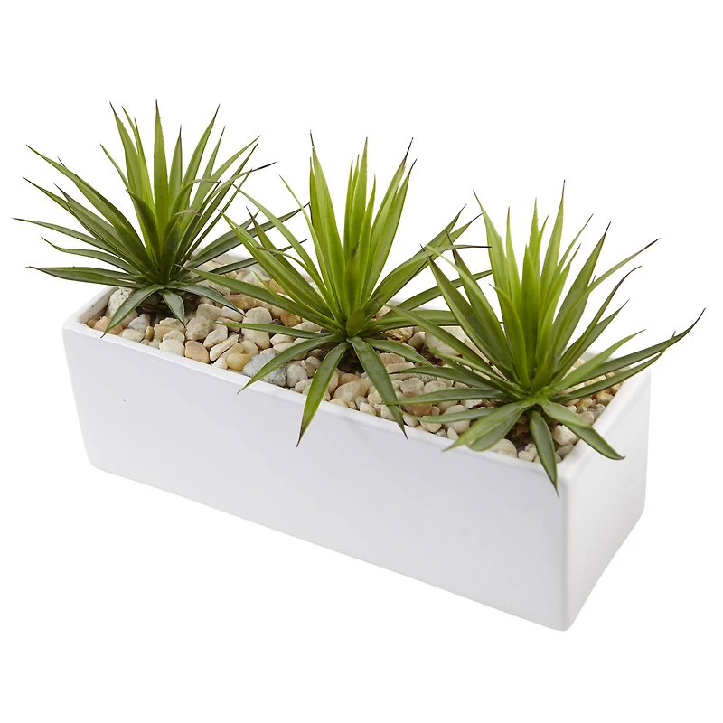 8" Mini Agaves in Rectangular Ceramic Planter