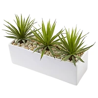 8" Mini Agaves in Rectangular Ceramic Planter