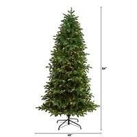7ft. Pre-Lit South Carolina Fir Artificial Christmas Tree, Clear Lights
