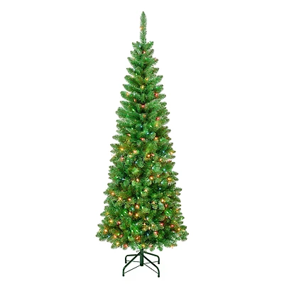 6ft. Pre-Lit Rowan Pencil Slim Artificial Christmas Tree, Multicolor Lights