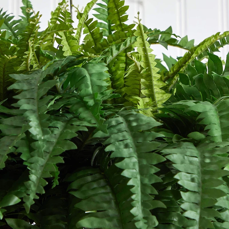 3ft. Boston Fern Plant in Metal Hanging Bowl