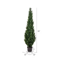 6ft. Potted Cedar Tree