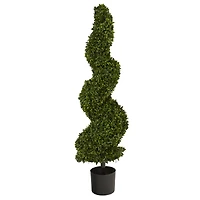 4ft. Potted Spiral Hazel Leaf Topiary Tree
