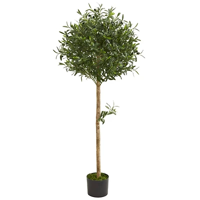 5ft. Potted Olive Topiary Tree