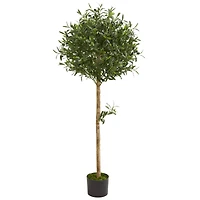 5ft. Potted Olive Topiary Tree