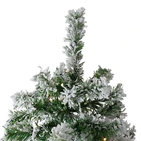 7.5ft. Pre-Lit Flocked Winter Park Fir Artificial Christmas Tree, Warm Clear LED Lights