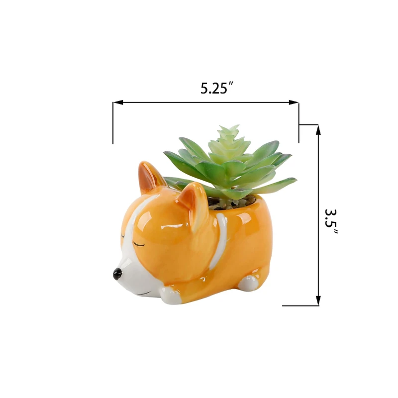 Flora Bunda® 5.5" Green Succulent in Orange Ceramic Puppy Planter