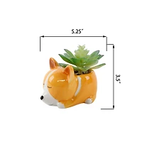 Flora Bunda® 5.5" Green Succulent in Orange Ceramic Puppy Planter
