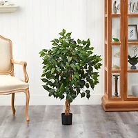 3ft. Potted Ficus Tree