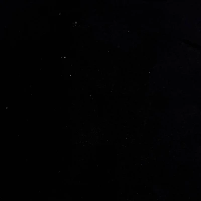 Feldman Black Faux Suede Fabric