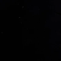 Feldman Black Faux Suede Fabric