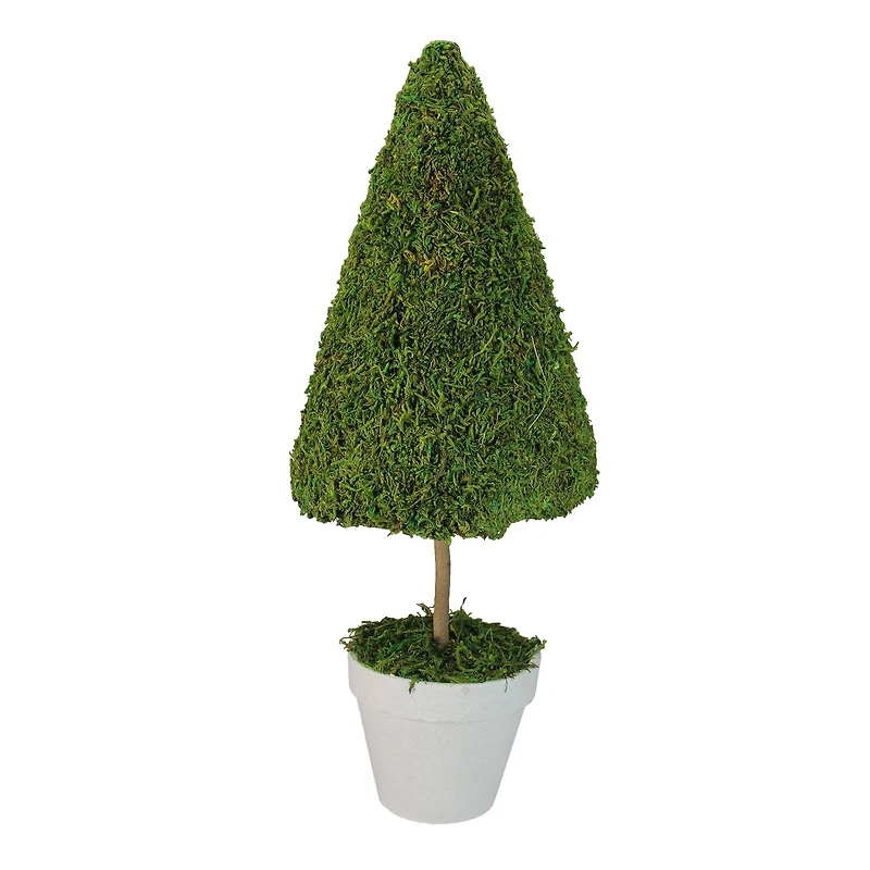 20.5" Green Potted Reindeer Moss Spring Topiary Tree