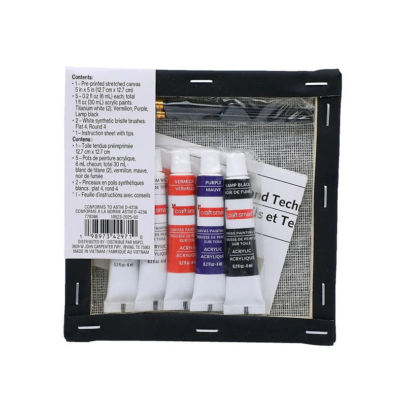 5" x 5" Spider in Web Canvas Painting Kit by Craft Smart®